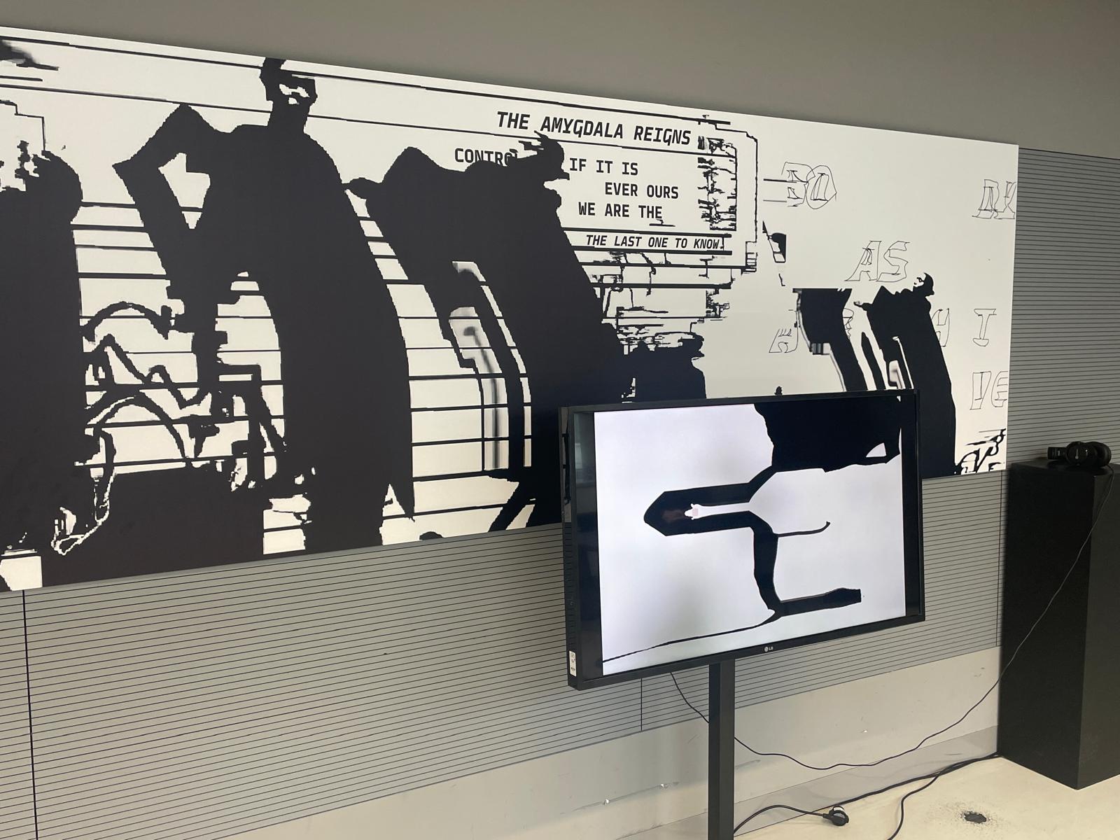 AMYGDALA installation Werkschau