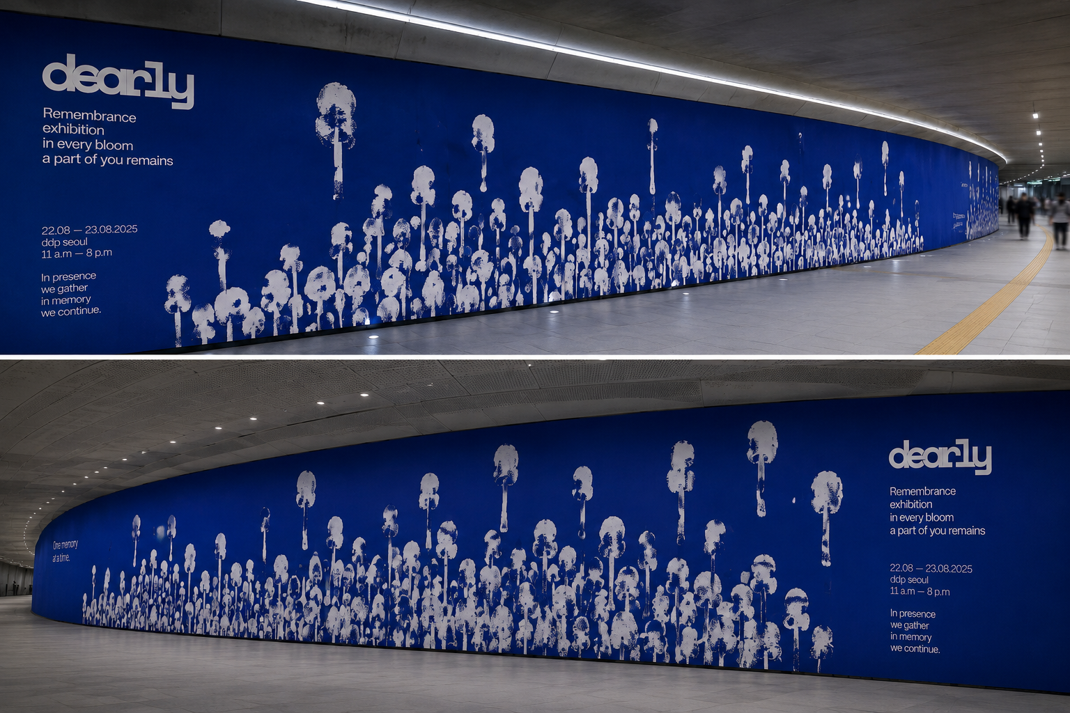 Dearly environmental graphic wrapping a long curved passage in blue and white