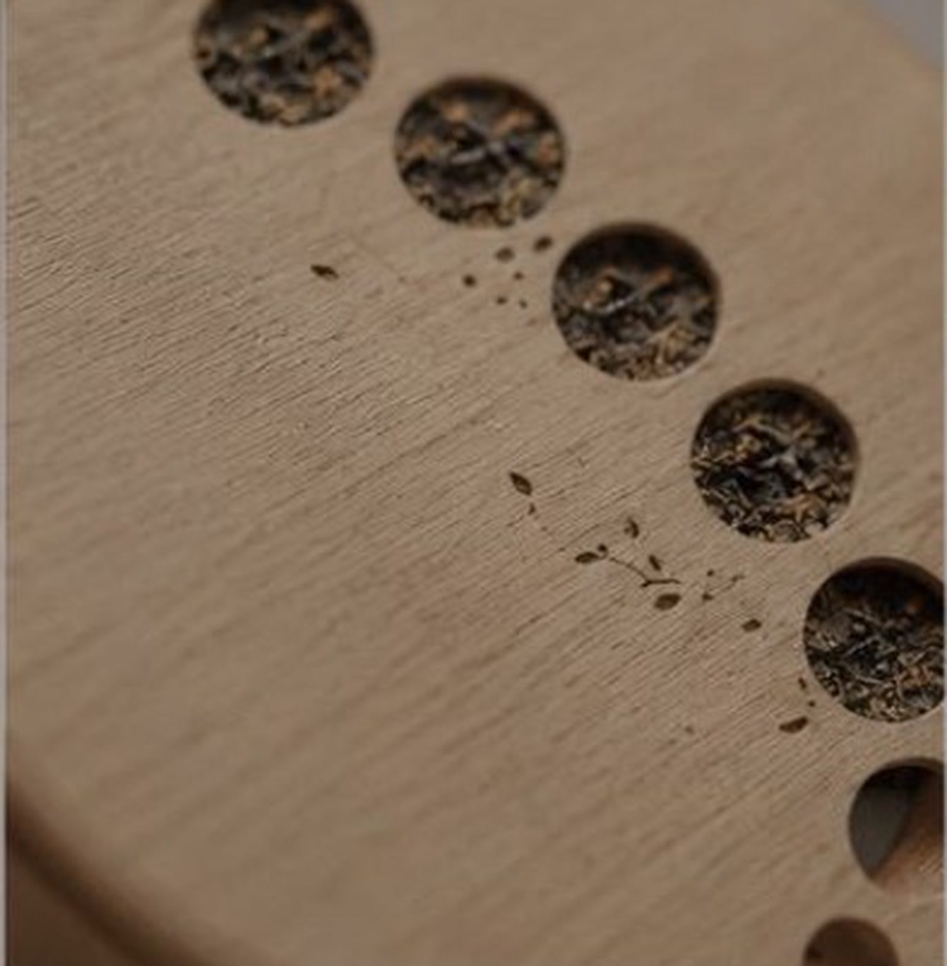 Moon phase openings revealing tea leaves
