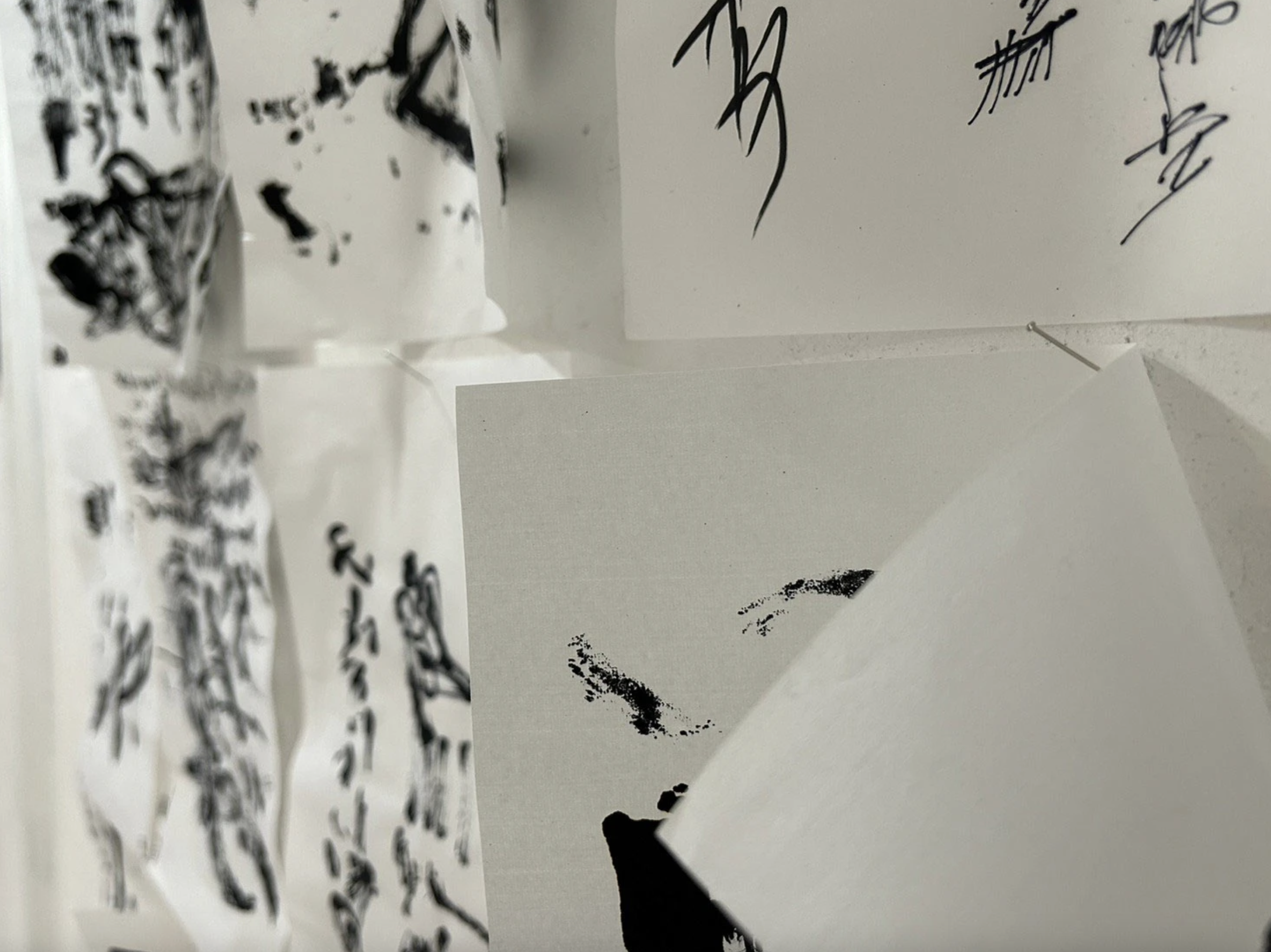 Tsukumo installation image 015