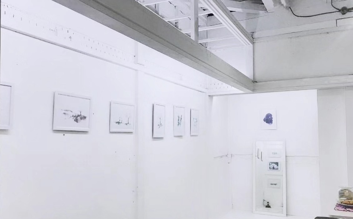 Wide view of framed watercolor works inside PUNIO Gallery