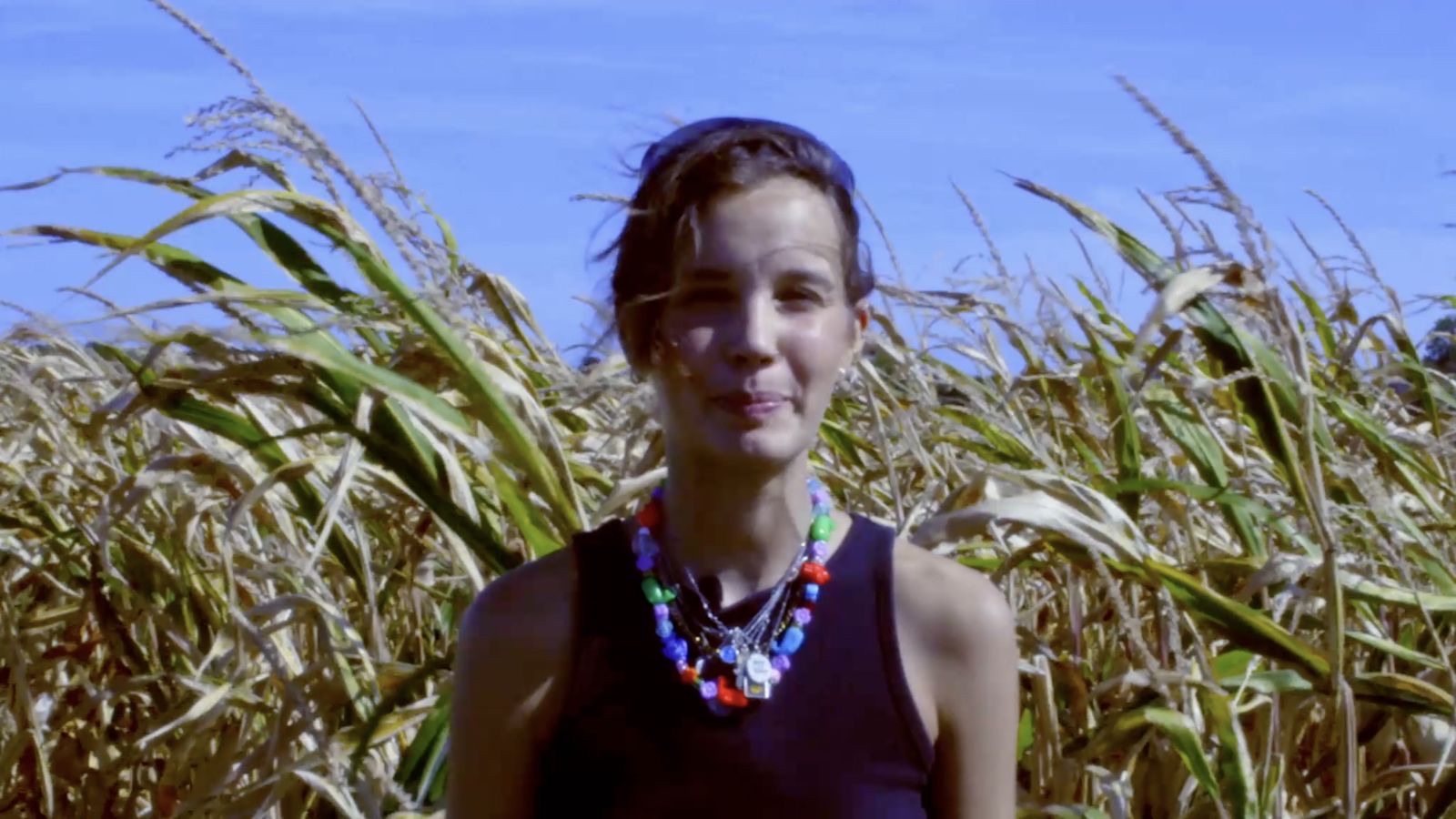 Performer standing in a field of tall corn