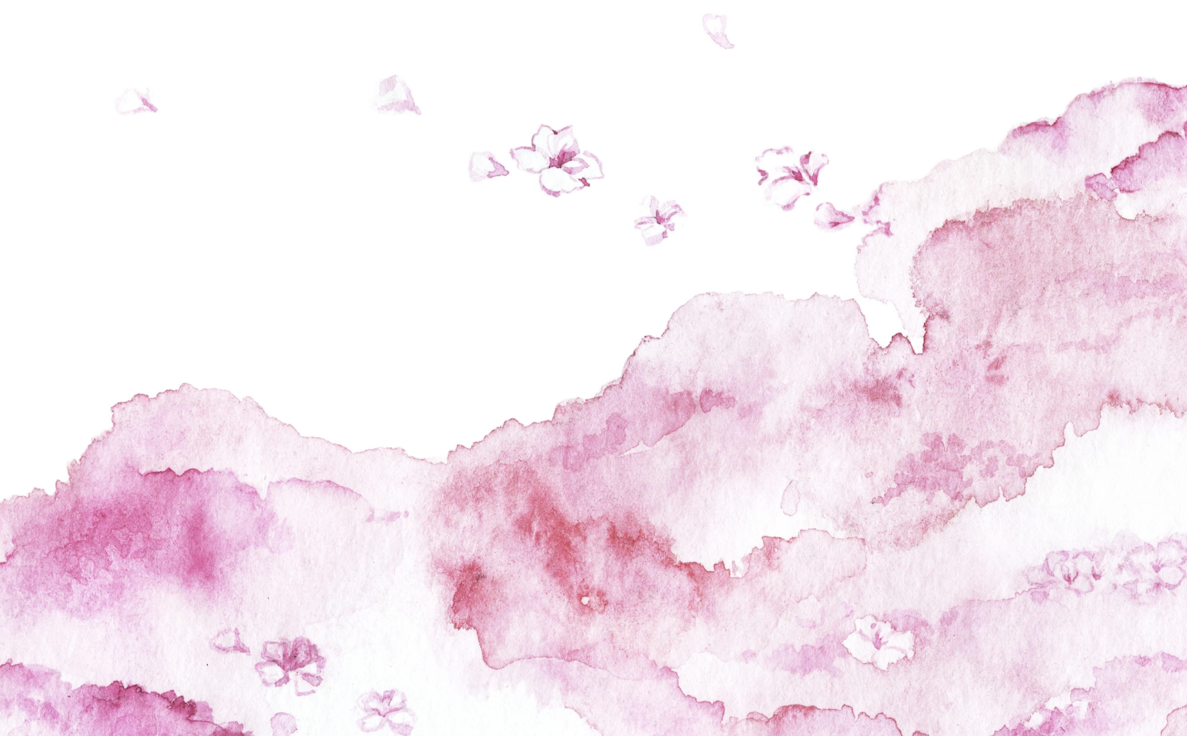 Kotoba to Suisai mockup preview