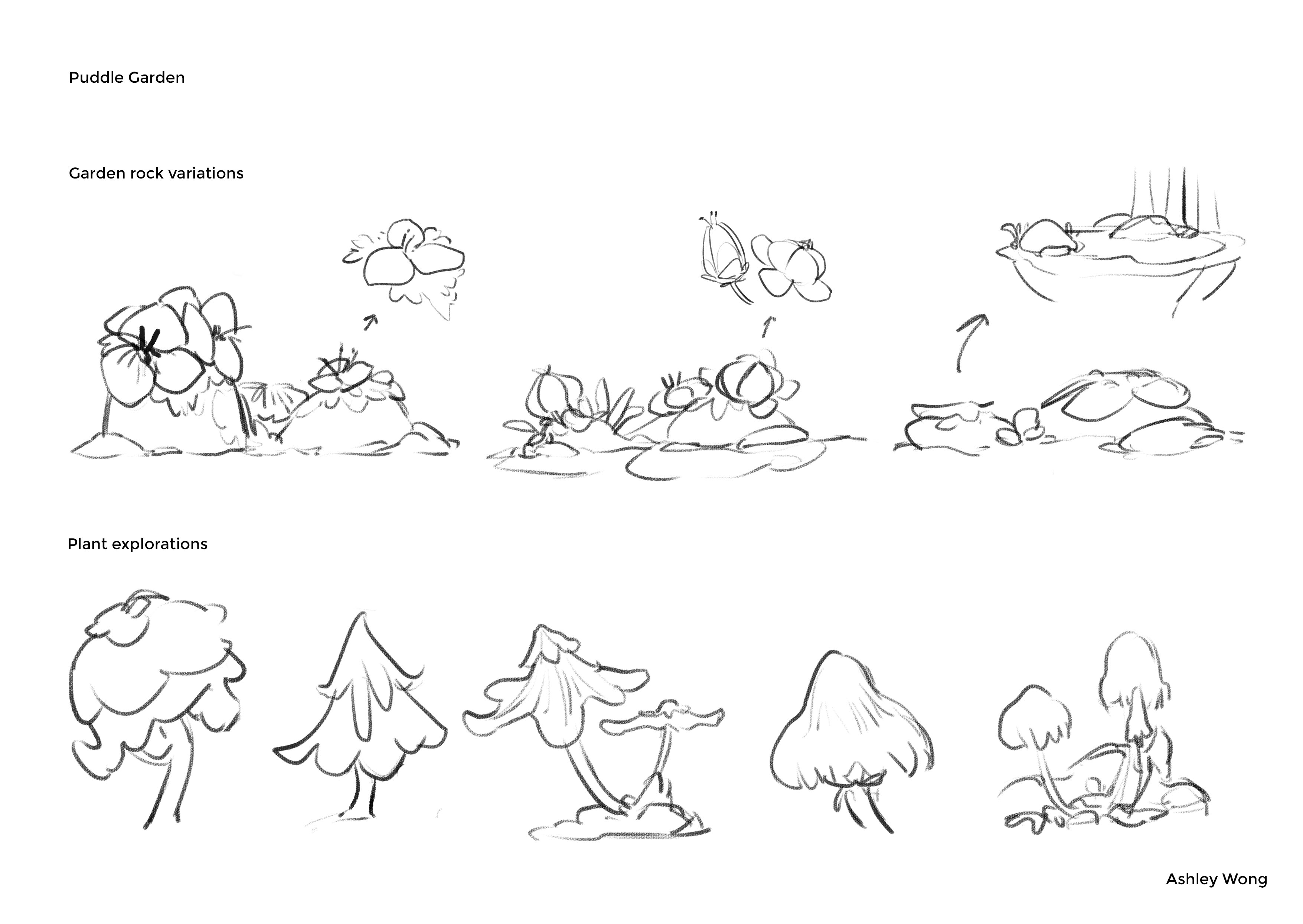 Plant explorations for puddle garden by Ashley Wong